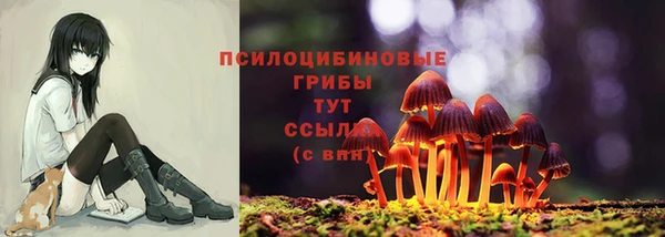 кокс Алзамай