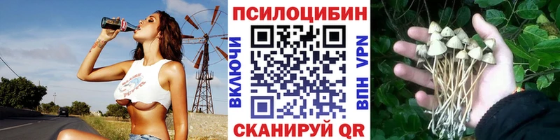 Галлюциногенные грибы Psilocybe  магазин продажи наркотиков  Калтан 